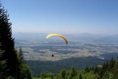 jahr_2005_18_20101127_2010923357