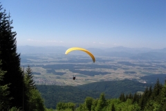 jahr_2005_2_20101127_1076430715