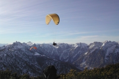 jahr_2006_17_20101127_1721621958