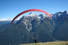 jahr_2006_1_20101127_2088657887