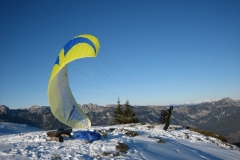 jahr_2006_3_20101127_1919073730