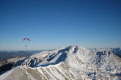 jahr_2006_7_20101127_1723576241