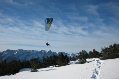 jahr_2006_8_20101127_1915128011