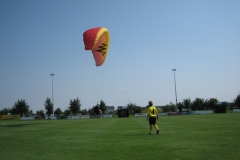 schaufliegen_06_10_20101127_1278541508