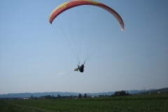 schaufliegen_06_11_20101127_1748465206