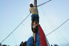 schaufliegen_06_4_20101127_1944830004