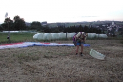 schaufliegen_06_5_20101127_1402202012