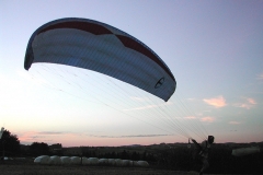 schaufliegen_06_7_20101127_1929459485