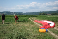 schaufliegen_06_9_20101127_1862517257