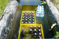 cm07_22_20100904_1692608844