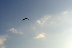 hr_07_27_20100904_1064592666