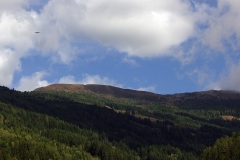 hr_07_5_20100904_1828352432