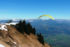 jahr_2007_15_20101127_1642748664