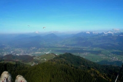 jahr_2007_18_20101127_1039171166