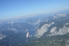 jahr_2007_1_20101127_1946691021