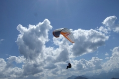 jahr_2007_2_20101127_1362525308