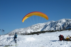 jahr_2007_7_20101127_1823812669