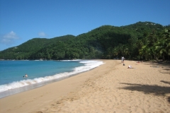 jahr_2008_12_20101127_1163595493