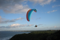 jahr_2008_13_20101127_1473519141