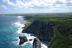 jahr_2008_15_20101127_2093927112