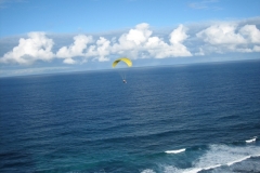 jahr_2008_16_20101127_1574464169