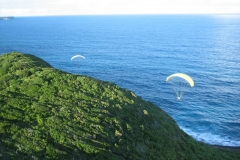 jahr_2008_17_20101127_1331489877