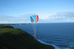 jahr_2008_18_20101127_2066531764