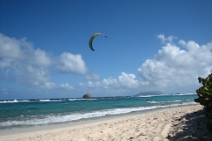 jahr_2008_19_20101127_2071202290