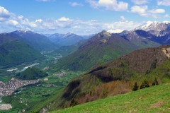 jahr_2008_3_20101127_2085618803