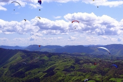 jahr_2008_4_20101127_1821415843