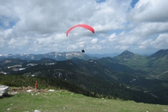 jahr_2008_5_20101127_2022563420