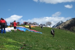 jahr_2008_6_20101127_1944675779