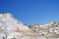 2009_4_20101016_2041141961