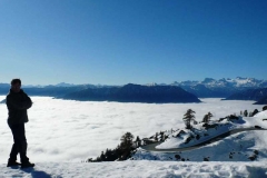 2009_6_20101016_1672610897