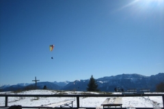 img_2281_klein_1_20101116_1020543341