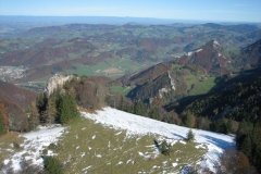 img_2290_klein_1_20101116_1271650559