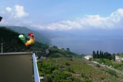 kalabrien_2010_21_20101006_1418358002