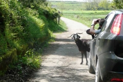 kalabrien_2010_7_20101006_1917464913