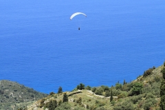 0210_exanthia_20110525_1234508592