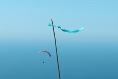 0210_exanthia_20110525_1397432735