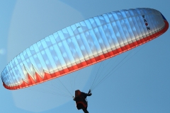 0211_exanthia_20110525_1994024973