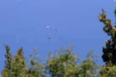 0212_exanthia_20110525_1888359555