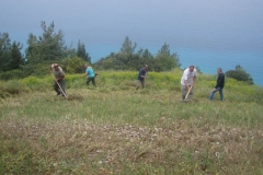 arbeiter_1_20110516_1777883724