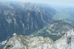 bischling-traumflug_20110825_1519962378