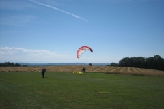 schaufliegen_langenstein_20110721_1330272057