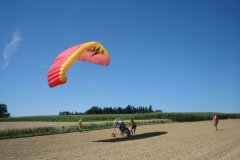 schaufliegen_langenstein_20110721_1681463111