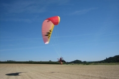 schaufliegen_langenstein_20110721_2015937327