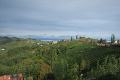 steiermark_20111010_1098340385