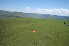 suedafrika_2011_20111229_1316532171