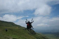 suedafrika_2011_20111229_1395642502